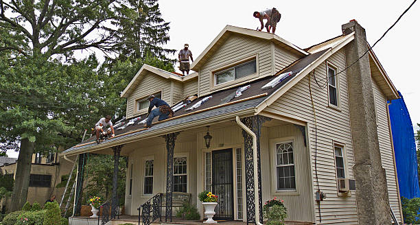 Best Roof Gutter Cleaning  in Laurel Park, NC