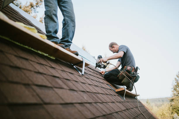 Professional Roofing Contractor in Laurel Park, NC