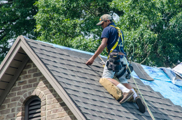 Professional Roofing Contractor in Laurel Park, NC